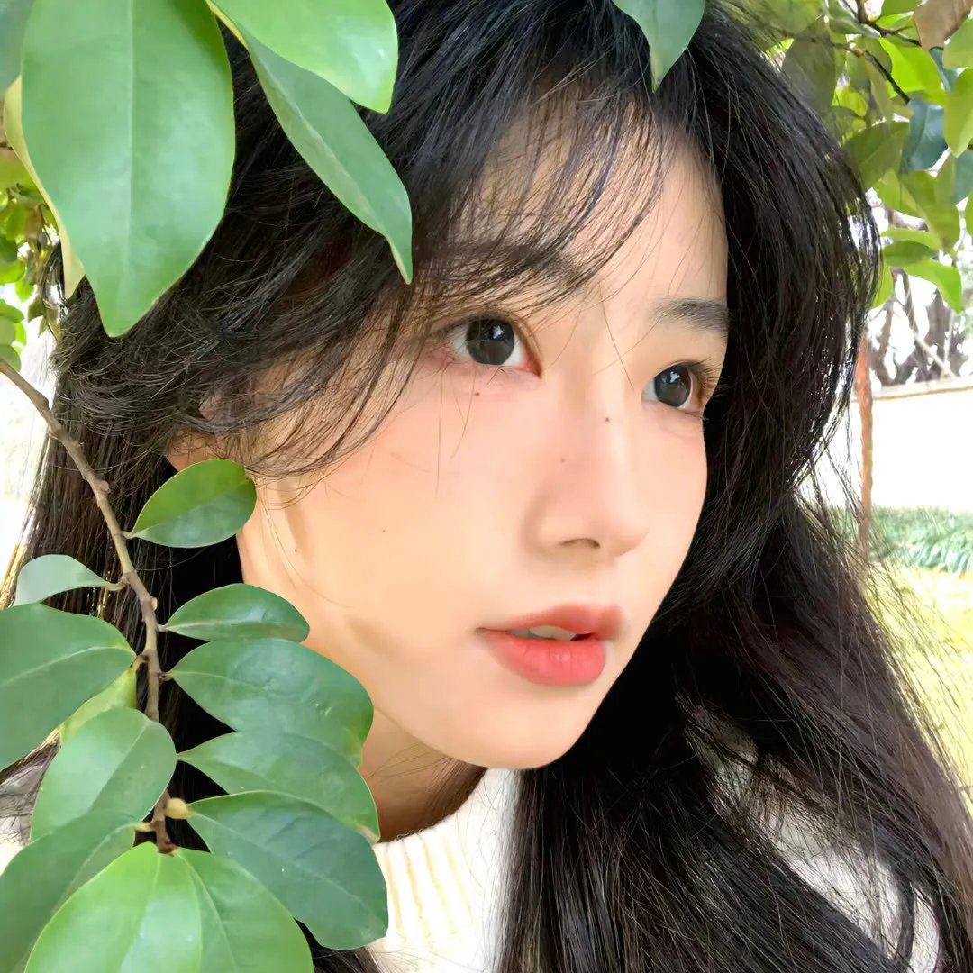 红娘1976